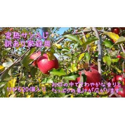 見栄えはB級、味はA級。葉とらず完熟サンふじ【訳あり家庭用】約5kg(11~20個)