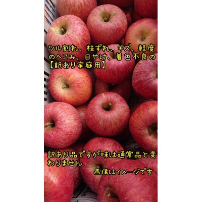 見栄えはB級、味はA級。葉とらず完熟サンふじ【訳あり家庭用】約5kg(11~20個)