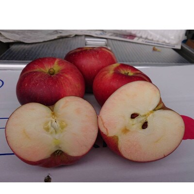 通の方におススメ!ハートが詰まった新品種!果肉がピンクのりんご(炎舞 