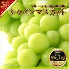 【2023年発送】【信州須坂】　人気のシャインマスカット 約5kg　信州グルメ市場厳選