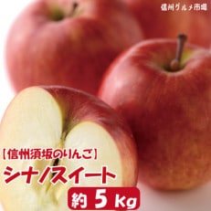 【2023年発送】シナノスイート　約5kg(約14～20玉) 　信州グルメ市場厳選
