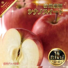【2025年発送】シナノスイート　約10kg(約22～40玉)秀品 信州グルメ市場厳選