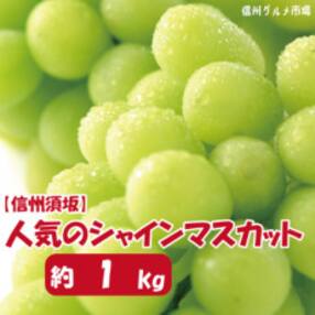 【2023年発送】【信州須坂】 人気のシャインマスカット 約1kg 信州グルメ市場厳選
