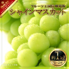 【2023年発送】【信州須坂】　人気のシャインマスカット 約1kg　信州グルメ市場厳選 | ふるさと納税のお礼品