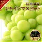 【2023年発送】【信州須坂】　人気のシャインマスカット 約1kg　信州グルメ市場厳選