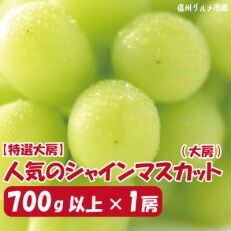 【2023年発送】【特選大房】人気のシャインマスカット(大房)700g以上×1房　信州グルメ市場厳選 | ふるさと納税のお礼品