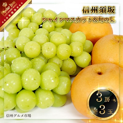 【2025年発送】【信州須坂】 シャインマスカット3房&旬の梨の詰め合わせ　信州グルメ市場厳選