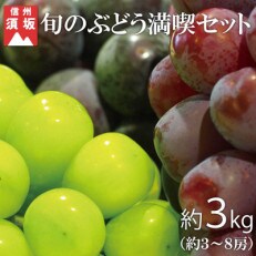 【2023年発送】旬のぶどう満喫セット約3kg(約3～8房) 信州グルメ市場厳選