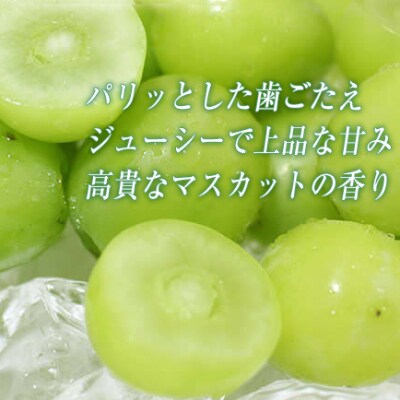 厳選シャインマスカット約1.2kg(2~3房)【長野県須坂市産】