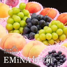 信州うちやま農園のフルーツ詰め合わせ【夏に届く】EMiNA旬の箱(7～9kg)ナガノパープル入り