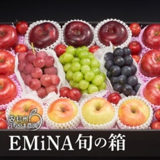 信州うちやま農園のフルーツ詰め合わせ【秋に届く】EMiNA旬の箱ナガノパープル、クイーンルージュ入り