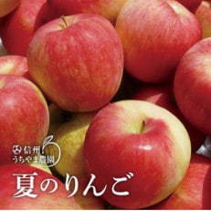 初夏の味!『夏あかり』約2.5kg(約11～15個)　信州りんご