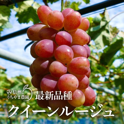 至福の葡萄箱(3色セット)約1.5kg【9月上旬~10月下旬 順次発送予定】