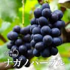 【先行受付】ナガノパープル 1kg以上(2～4房)《信州うちやま農園》