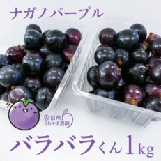 【先行受付】 訳あり 家庭用 ナガノパープル(粒パック)約1kg | ふるさと納税のお礼品