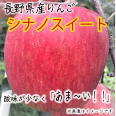 長野県産 シナノスイート【秀品】 約5kg(11～20個入り)