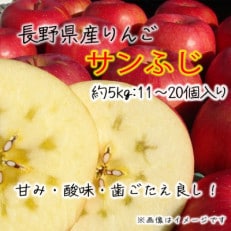 長野県産りんご サンふじ 【訳あり品】 約5kg(11～20個入り)