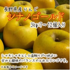 長野県産 シナノゴールド【訳あり品】 約3kg(7～12個入り)