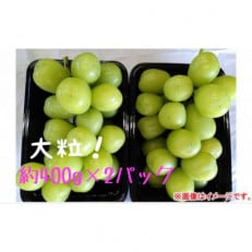 大粒シャインマスカット 約400g×2パック(約800g)  長野県産【2023年発送】 | ふるさと納税のお礼品