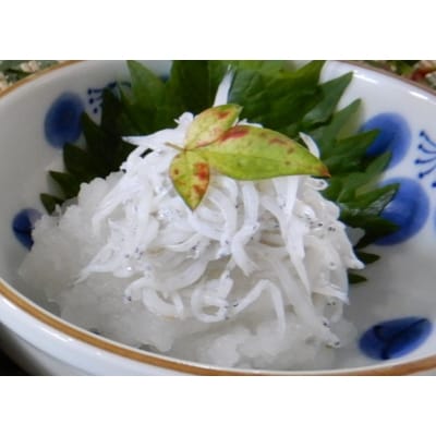 しらす釜揚げ(大井川港水揚げ)詰合せ(a10-474)