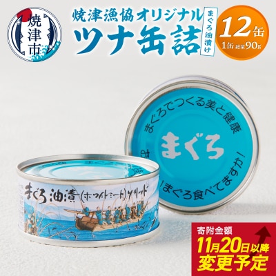 焼津漁協オリジナルツナ缶詰(まぐろ油漬け)12缶入(a12-163)