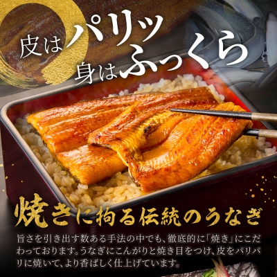 静岡うなぎ漁協 うなぎ蒲焼セット(a10-207)