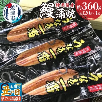 【土用の丑の日までにお届け】静岡うなぎ漁協 うなぎ蒲焼(長焼)セット(a20-129)