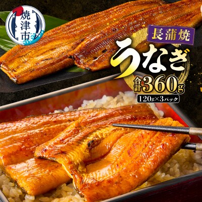 静岡うなぎ漁協 うなぎ蒲焼(長焼)セット(a20-129)