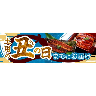 【土用の丑の日までにお届け】静岡うなぎ漁協 うなぎ蒲焼(長焼)セット(a20-129)