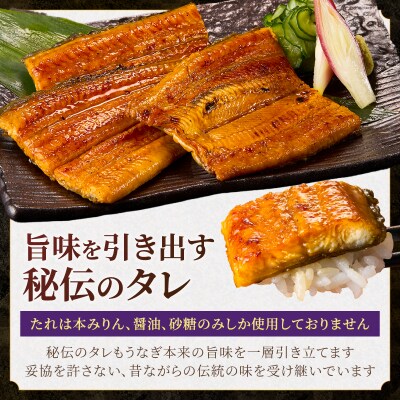 静岡うなぎ漁協 うなぎ蒲焼(長焼)セット(a20-129)