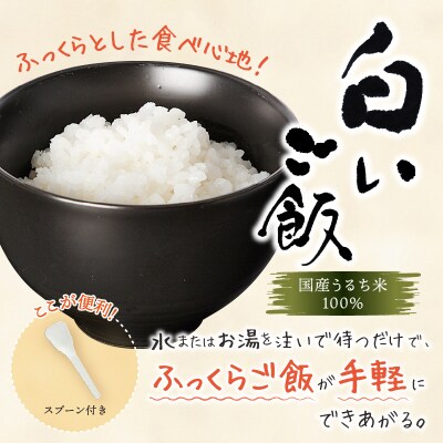 非常食 5年 白いご飯 大 10食 200g 災害(a15-571)