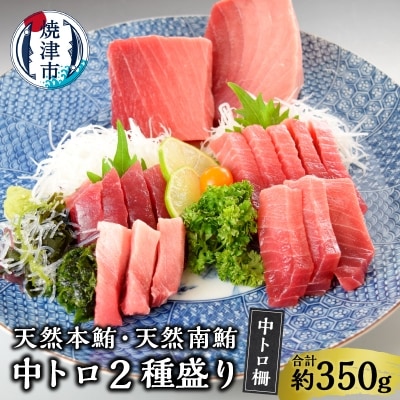 天然本鮪・天然南鮪中トロ二種盛り(a25-047)