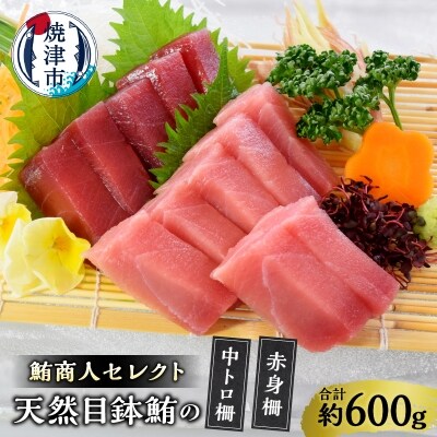 鮪商人セレクト 天然目鉢鮪の中トロ柵赤身柵(a20-418)