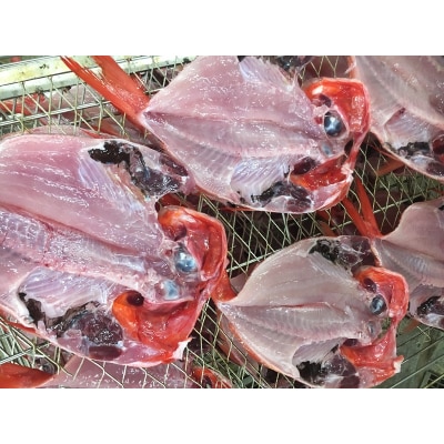 【チルドでお届け】朝干しひものセット6種以上!(a15-383)