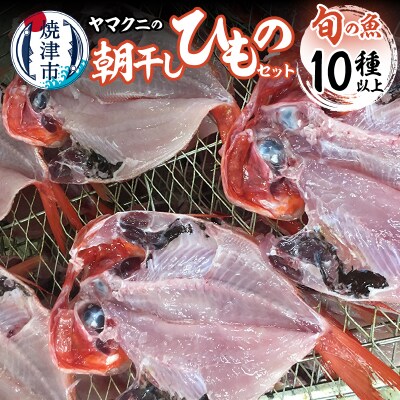 【チルドでお届け】朝干しひものセット10種以上!(a30-176)