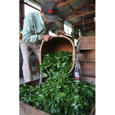 玉露名人 前島東平さんの玉露 1本(a19-004)