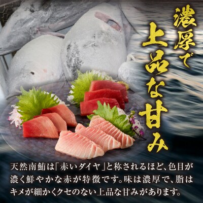 『鮪の魚二』天然南鮪大トロ中トロ赤身約800gセット(a40-076)