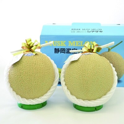 静岡マスクメロン【2玉】(山等級)(a40-069)