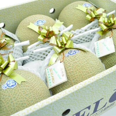 静岡マスクメロン【6玉】(山等級)(b100-031)