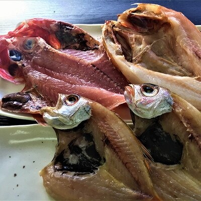 のどぐろ きんき 金目鯛のひもの 0 248 お礼品詳細 ふるさと納税なら さとふる