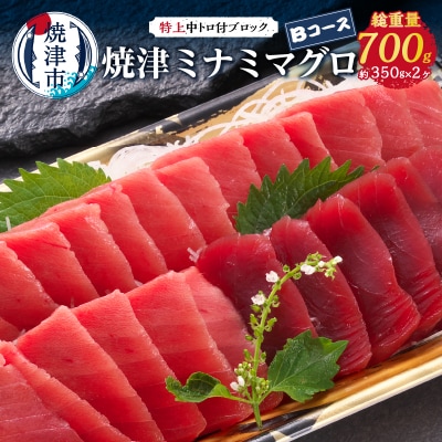 焼津ミナミマグロBコース(a24-038)