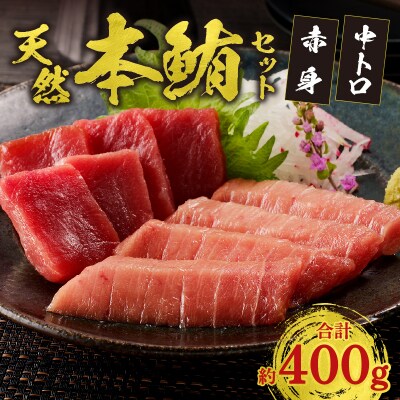 『まぐろの魚二』天然本鮪中トロ・赤身約400gセット(a17-020)