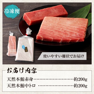 『まぐろの魚二』天然本鮪中トロ・赤身約400gセット(a17-020)