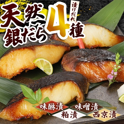 【2026年3月お届け】魚心漬銀ダラ 16切 銀だら 銀鱈(a30-174202603)