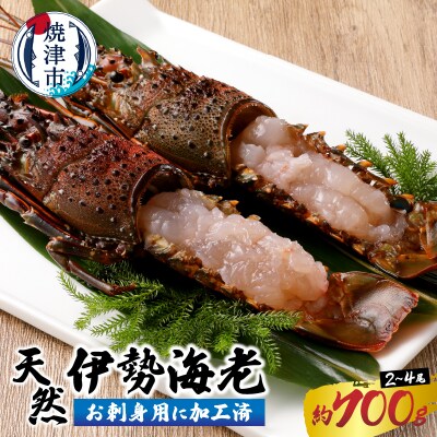 伊勢海老 お造りセット お刺身用に加工済(a30-171)