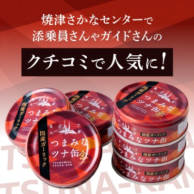 焼津のガーリックツナ 新製品1ケース レシピ付(a16-209)