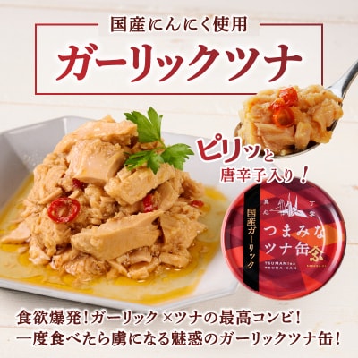 焼津のガーリックツナ 新製品1ケース レシピ付(a16-209)