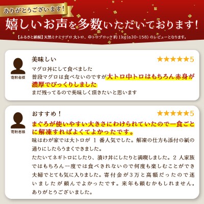 天然ミナミマグロ 大トロ 中トロブロック 約1kg(a30-158)