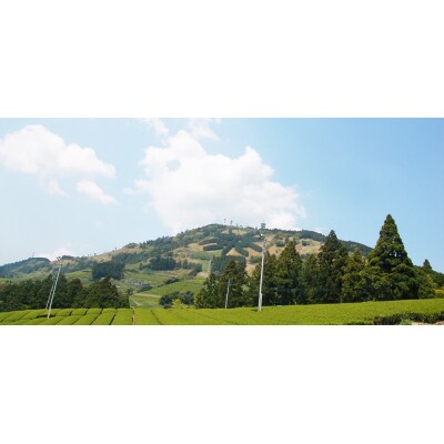 世界農業遺産「茶草場農法」の深蒸し茶5本セット(a19-003)