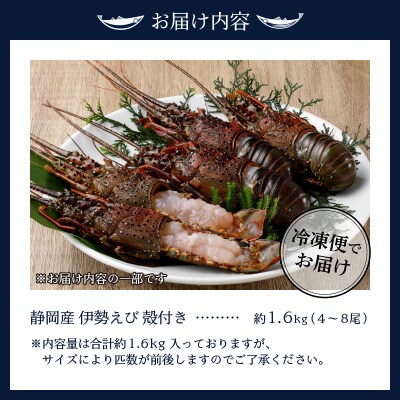 伊勢海老 三昧セットB 刺身用+焼物用(a80-031)